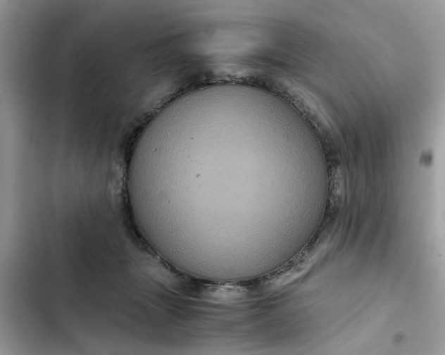 X0000102340463200808151732