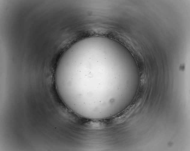 X0000102340464200808151732