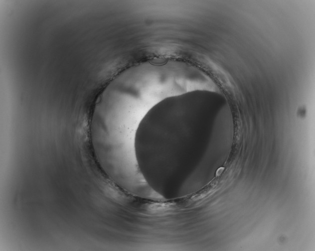 X0000102340465200808151732