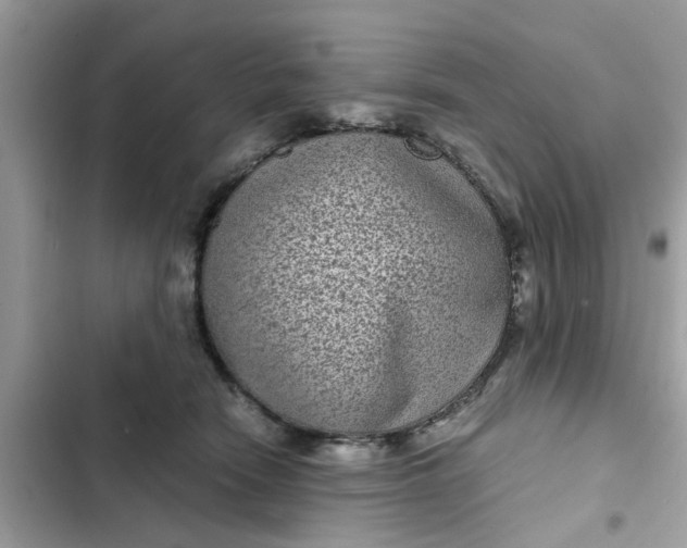 X0000102340466200808151732