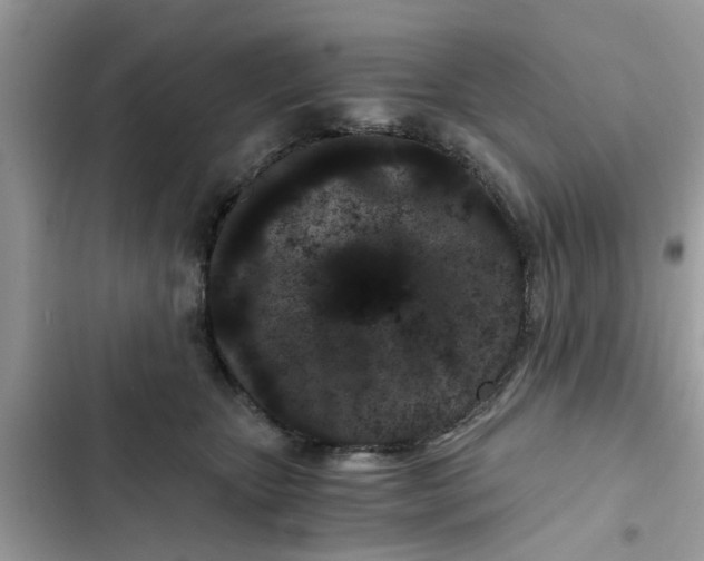 X0000102340467200808151732