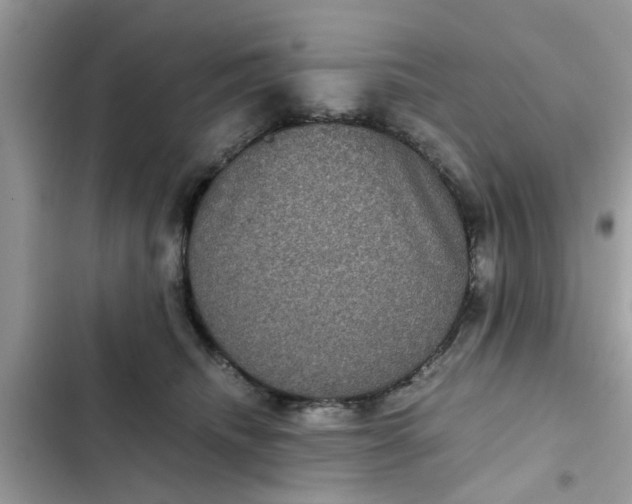 X0000102340468200808151732