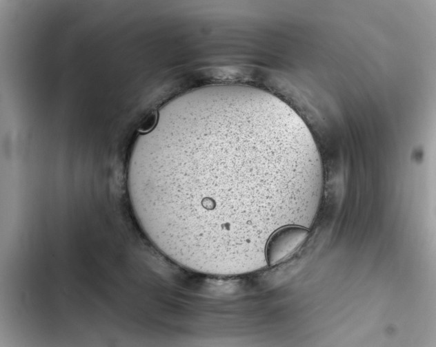 X0000102340469200808151732