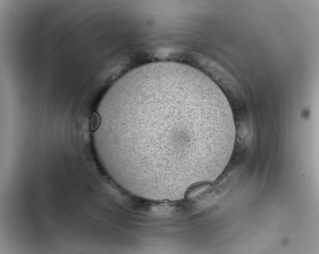 X0000102340470200808151732