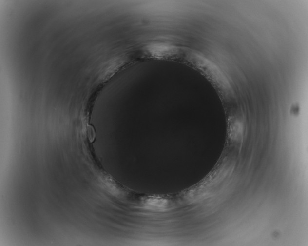 X0000102340471200808151732