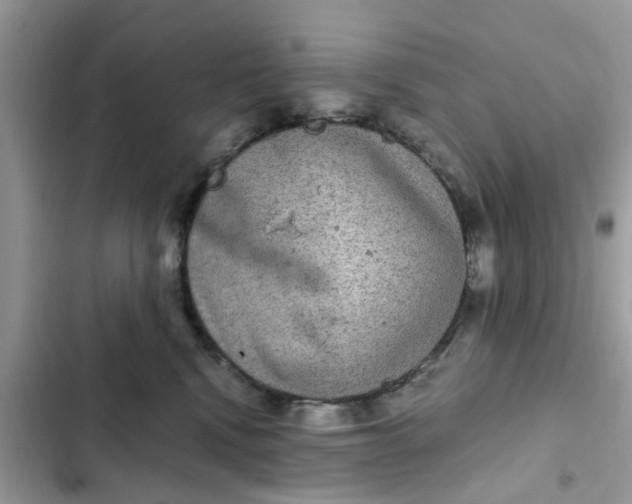 X0000102340472200808151732