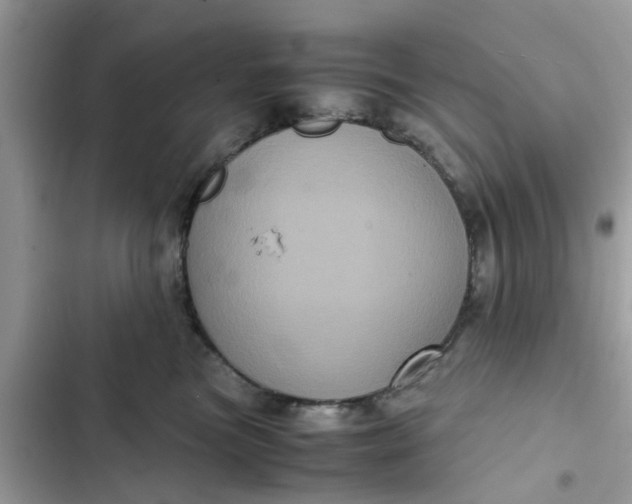 X0000102340473200808151732