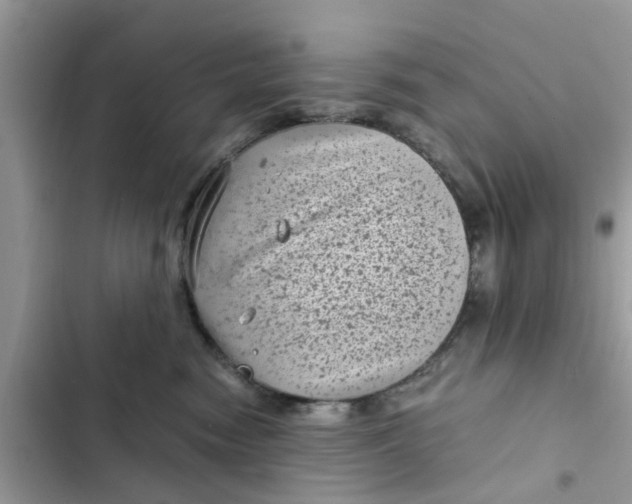 X0000102340474200808151732