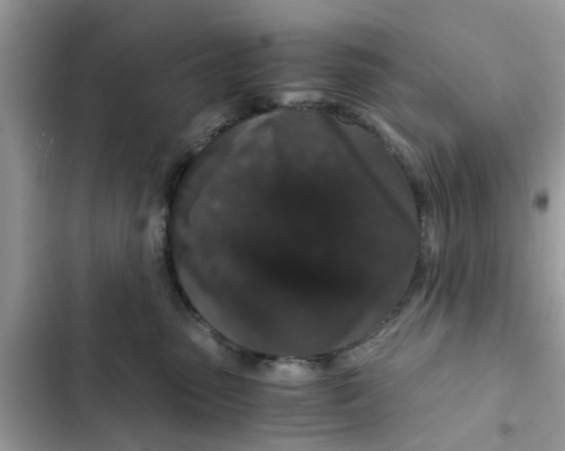 X0000102340475200808151732