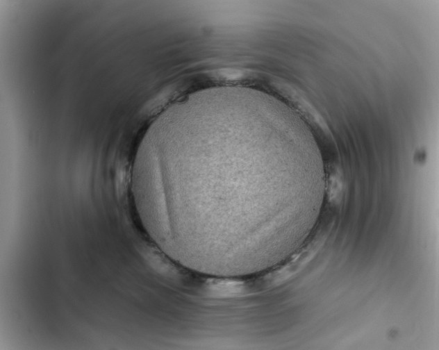 X0000102340476200808151732