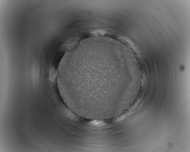 X0000102340477200808151732