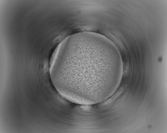 X0000102340478200808151732