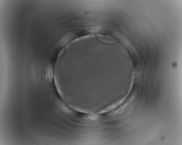 X0000102340479200808151732