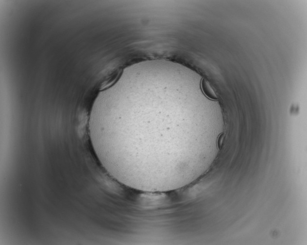 X0000102340480200808151732