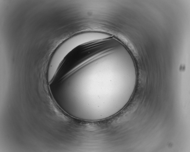 X0000102340481200808151731