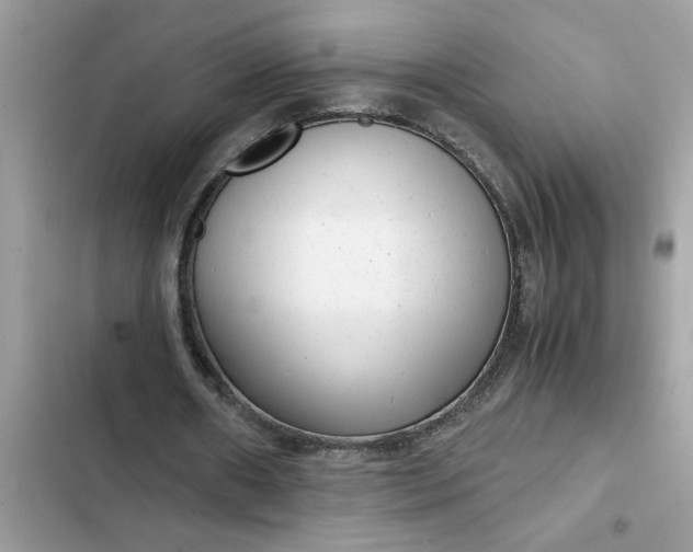 X0000102340482200808151731