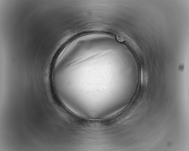 X0000102340483200808151731