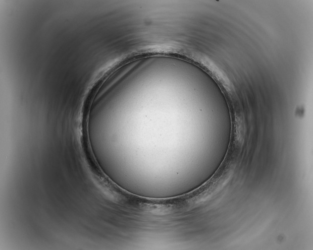 X0000102340486200808151731