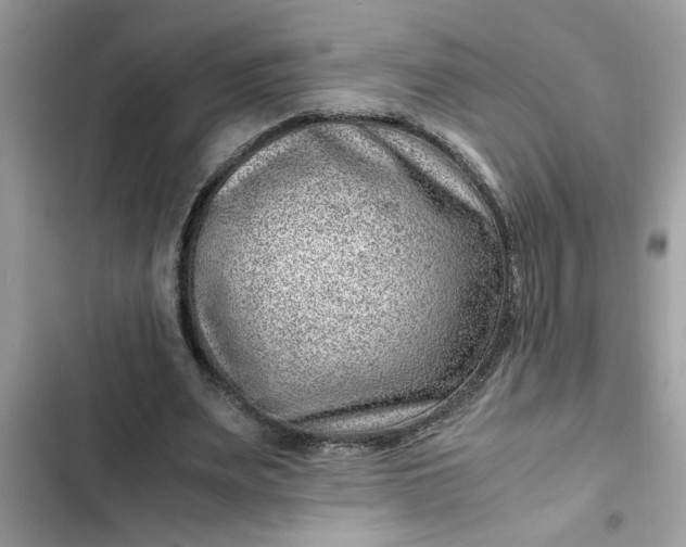 X0000102340487200808151731