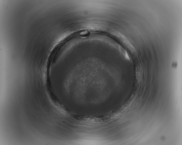 X0000102340488200808151731