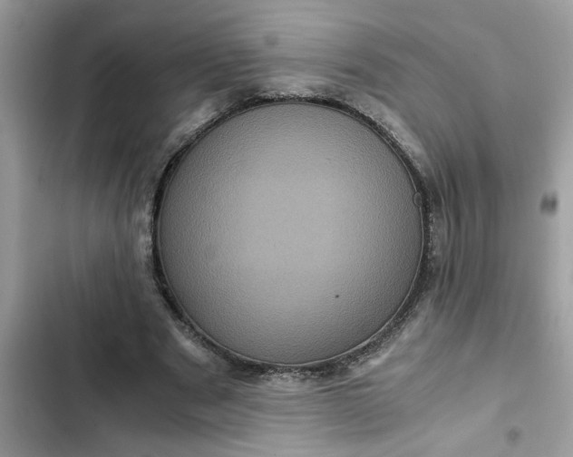 X0000102340489200808151731