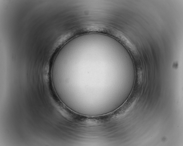 X0000102340490200808151731