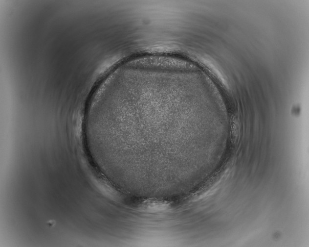 X0000102340491200808151731