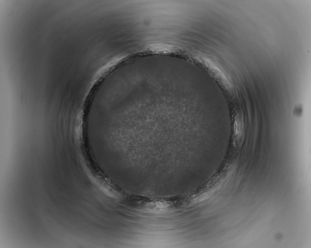 X0000102340492200808151731