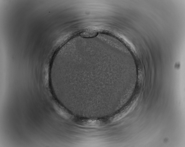 X0000102340493200808151731