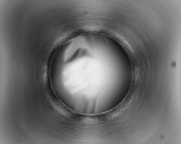 X0000102340494200808151731