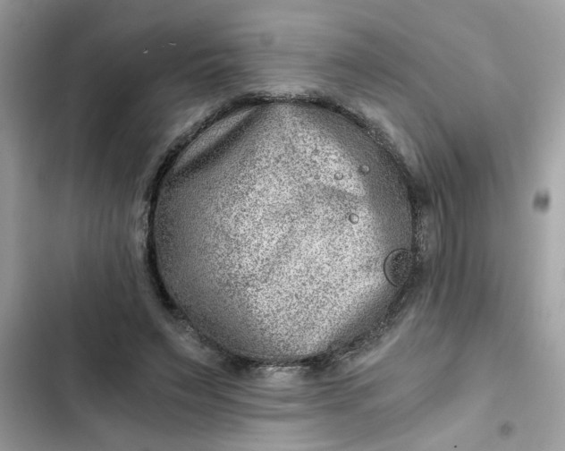 X0000102340495200808151731