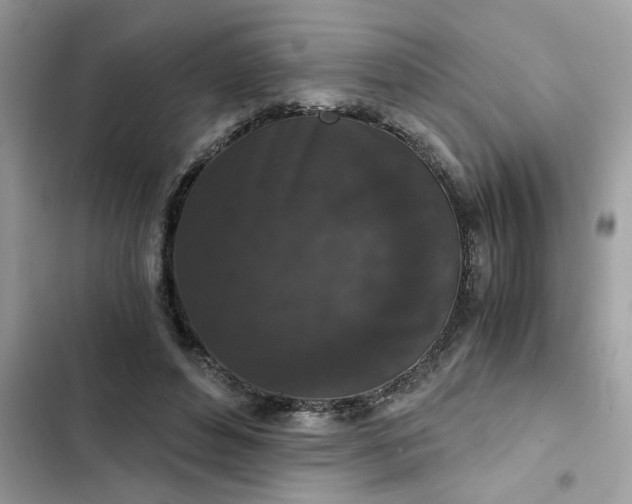 X0000102340496200808151731