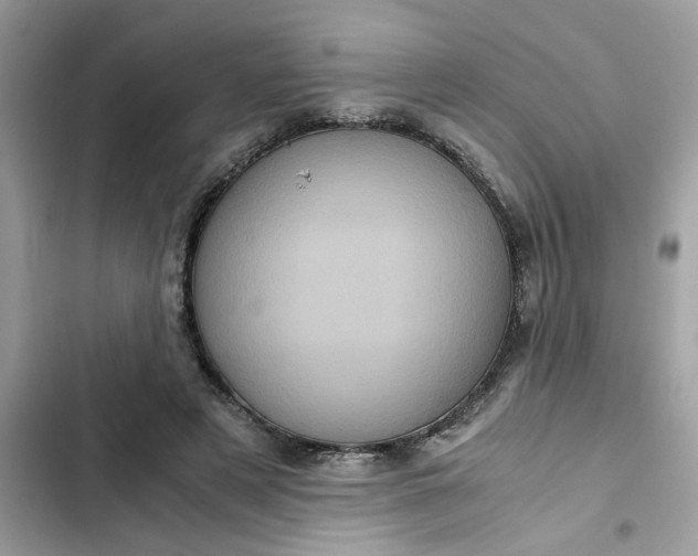 X0000102340497200808151731