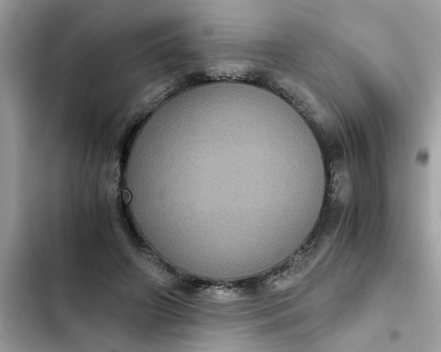 X0000102340498200808151731