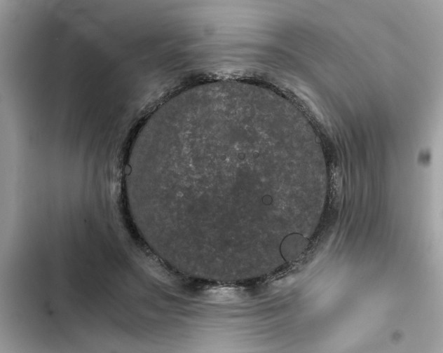 X0000102340499200808151731