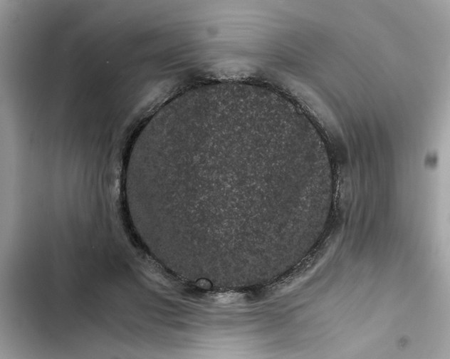 X0000102340501200808151731