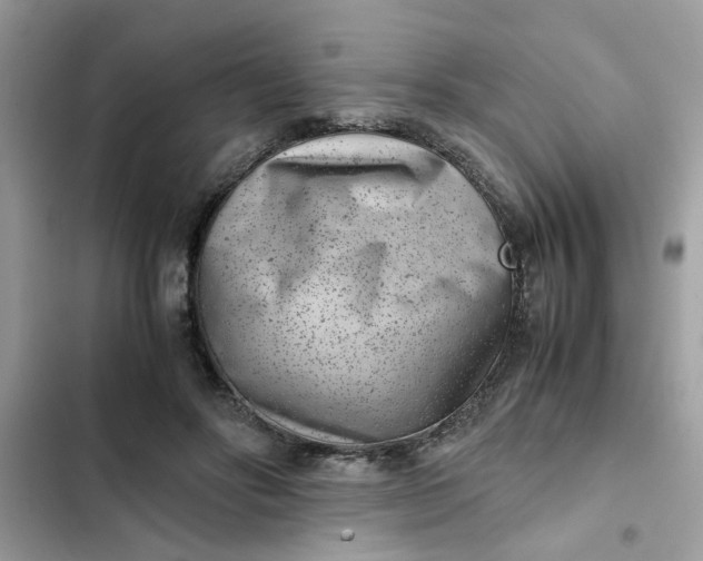 X0000102340502200808151731