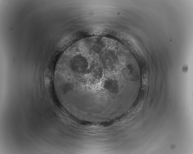 X0000102340503200808151731