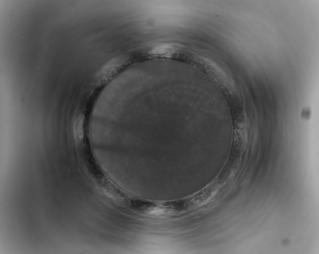 X0000102340504200808151731