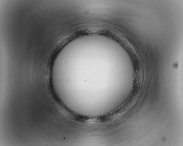 X0000102340505200808151731