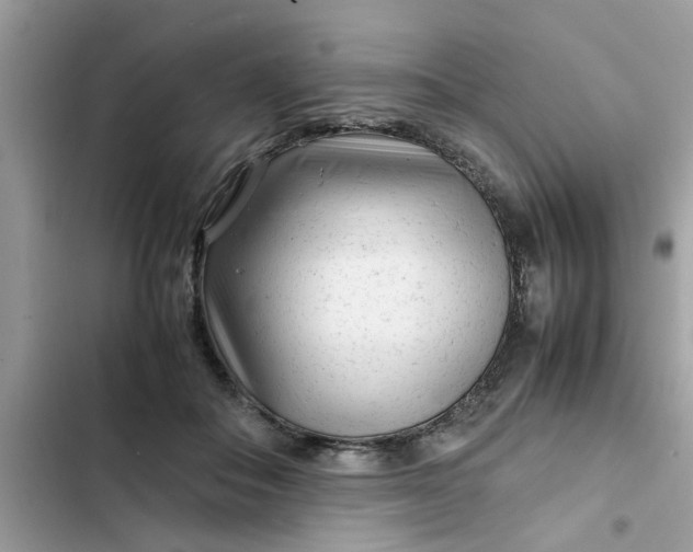 X0000102340506200808151731