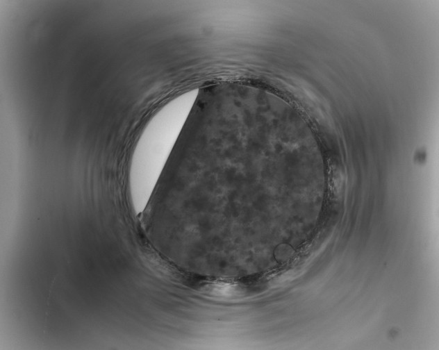 X0000102340507200808151731