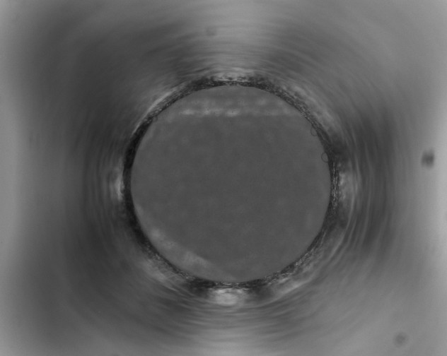 X0000102340508200808151731