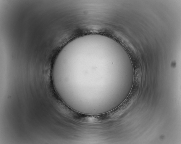 X0000102340509200808151731