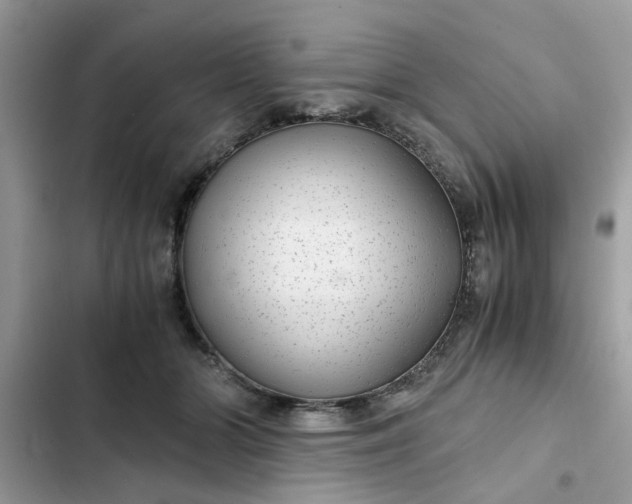 X0000102340510200808151731