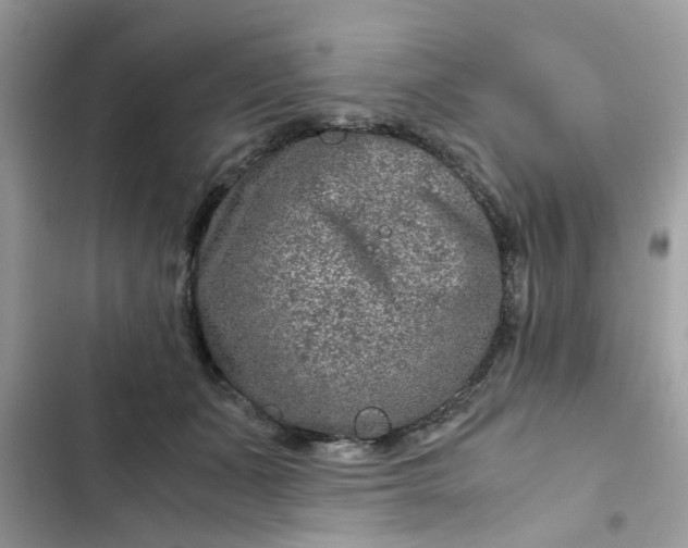 X0000102340511200808151731