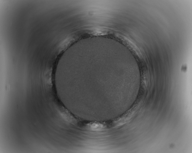 X0000102340512200808151731