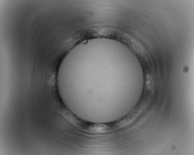 X0000102340514200808151731