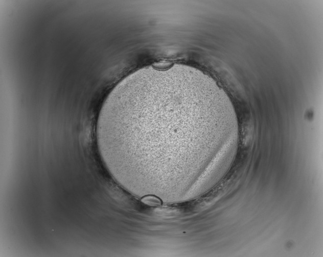 X0000102340515200808151731