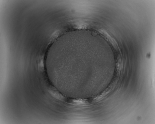 X0000102340516200808151731